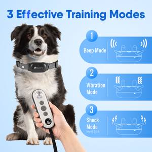 Pawrama 680 Electric Dog Training Collar with Remote