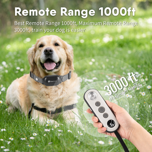 Pawrama 680 Electric Dog Training Collar with Remote